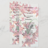 Orchid Oncostele Hilo Firecracker Neujahrsprogramm Programm (Vorne/Hinten)