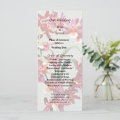 Orchid Oncostele Hilo Firecracker Neujahrsprogramm Programm (Stehend Vorderseite)