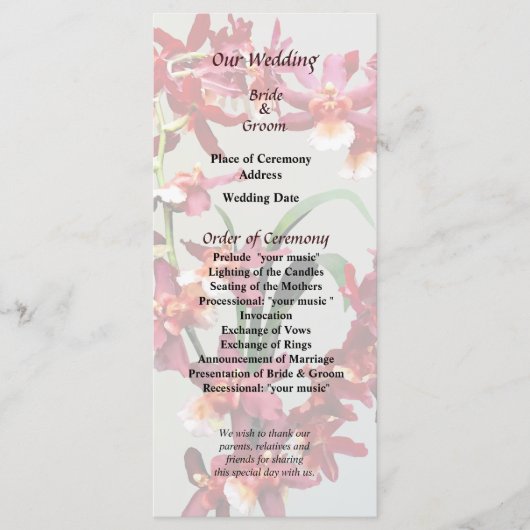 Orchid Oncostele Hilo Firecracker Neujahrsprogramm Programm (Vorderseite)