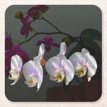 Orchid Paper Untersetzer