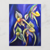 Orchid Paphiopedilum Lady's Slipper Postkarte (Vorderseite)