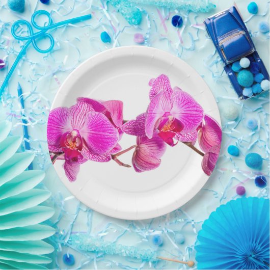 Orchid Pappteller (Party)