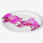 Orchid Pappteller (Schrägansicht)