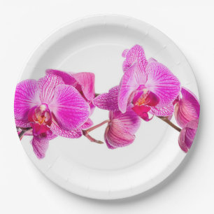 Orchid Pappteller