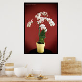 Orchid-Pflanze Poster (Küche)