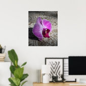 Orchid Phalae Graphic Print -20x24 - oder kleiner Poster (Heimbüro)
