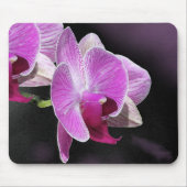 Orchid Phalae Mousepad (Vorne)