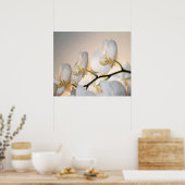 Orchid Phalae Sogo Art Print -24x20 - oder kleiner Poster (Küche)