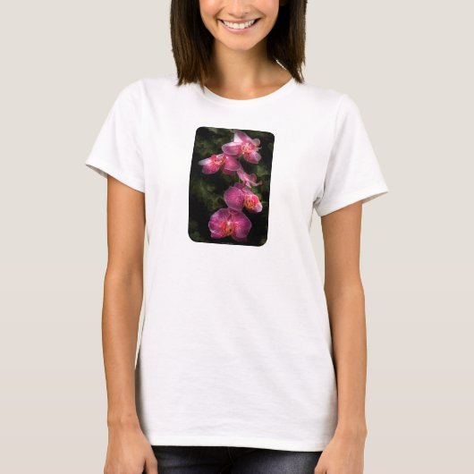 Orchid - Phalaenopsis - der Cluster T-Shirt (Vorderseite)