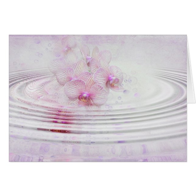 Orchid Pink (Vorderseite (Horizontal))