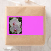 Orchid - Pink Blossom (Kolossians 2:3) (Insitu)