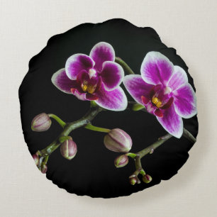 Orchid pinkfarbene weiße Farbe auf schwarz blass s Rundes Kissen