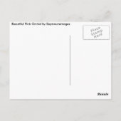 Orchid Postacrd Postkarte (Rückseite)