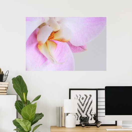 Orchid Poster (Heimbüro)