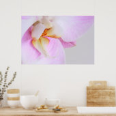 Orchid Poster (Küche)