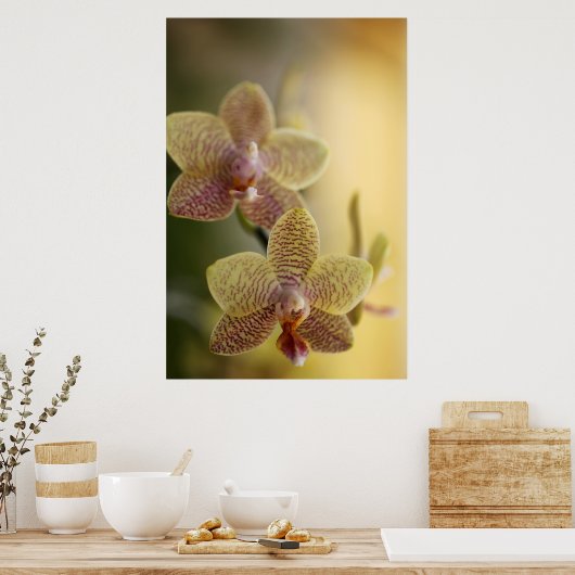 Orchid Poster (Küche)