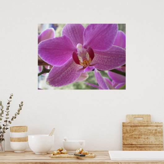 Orchid Poster (Küche)
