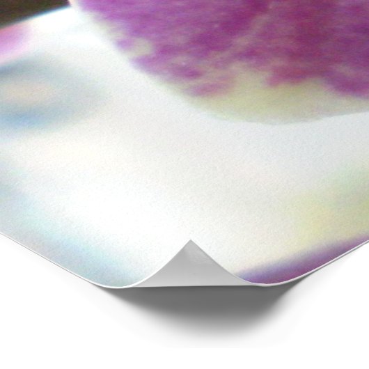 Orchid Poster (Ecke)