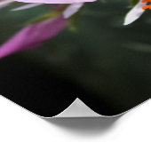 Orchid Poster (Ecke)