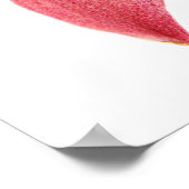 Orchid Poster (Ecke)