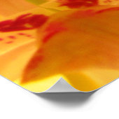 Orchid Poster (Ecke)