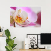Orchid Poster (Heimbüro)