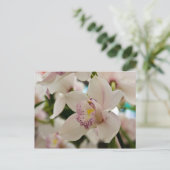 Orchid Postkarte (Stehend Vorderseite)