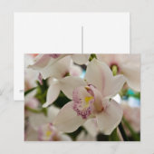 Orchid Postkarte (Vorne/Hinten)