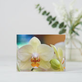 Orchid Postkarte (Stehend Vorderseite)