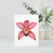 Orchid Postkarte (Stehend Vorderseite)
