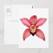 Orchid Postkarte (Vorne/Hinten)