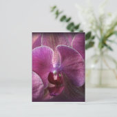 Orchid Postkarte (Stehend Vorderseite)