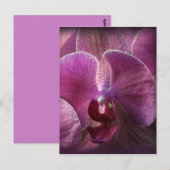 Orchid Postkarte (Vorne/Hinten)