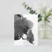 Orchid Postkarte (Stehend Vorderseite)