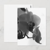 Orchid Postkarte (Vorne/Hinten)