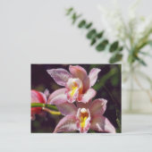 Orchid Postkarte (Stehend Vorderseite)
