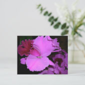 Orchid Postkarte (Stehend Vorderseite)