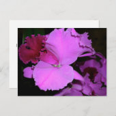 Orchid Postkarte (Vorne/Hinten)