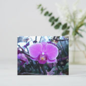 Orchid Postkarte (Stehend Vorderseite)
