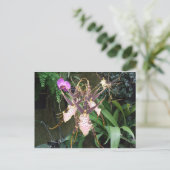 Orchid Postkarte (Stehend Vorderseite)