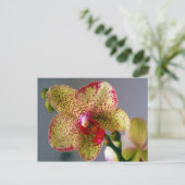 Orchid Postkarte (Stehend Vorderseite)