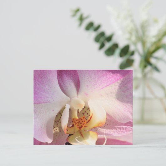 Orchid Postkarte (Stehend Vorderseite)