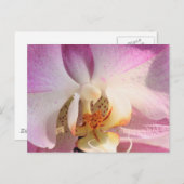Orchid Postkarte (Vorne/Hinten)