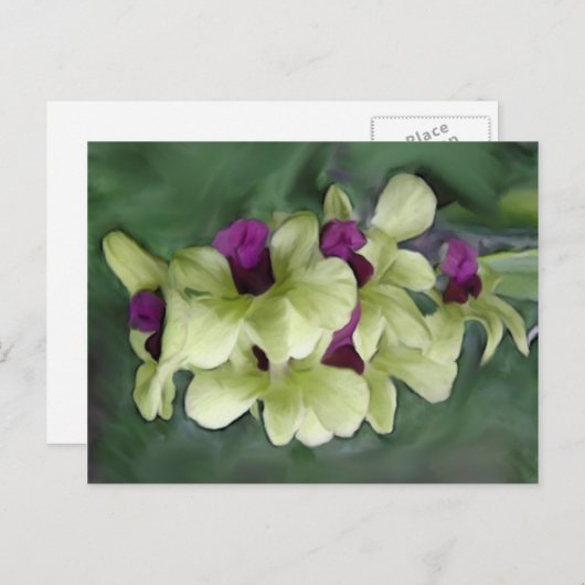 Orchid Postkarte (Vorne/Hinten)