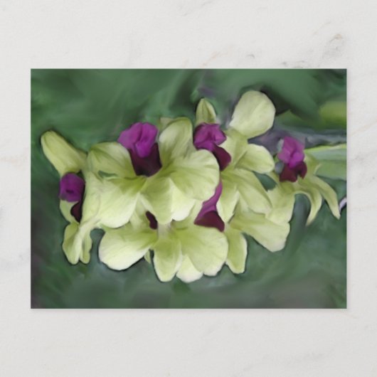 Orchid Postkarte (Vorderseite)