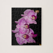 Orchid Puzzle (Vertikal)