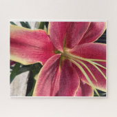 Orchid Puzzle (Horizontal)