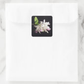 Orchid Quadratischer Aufkleber (Tasche)