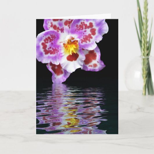 Orchid Reflection Karte (Vorderseite)