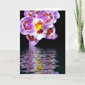 Orchid Reflection Karte